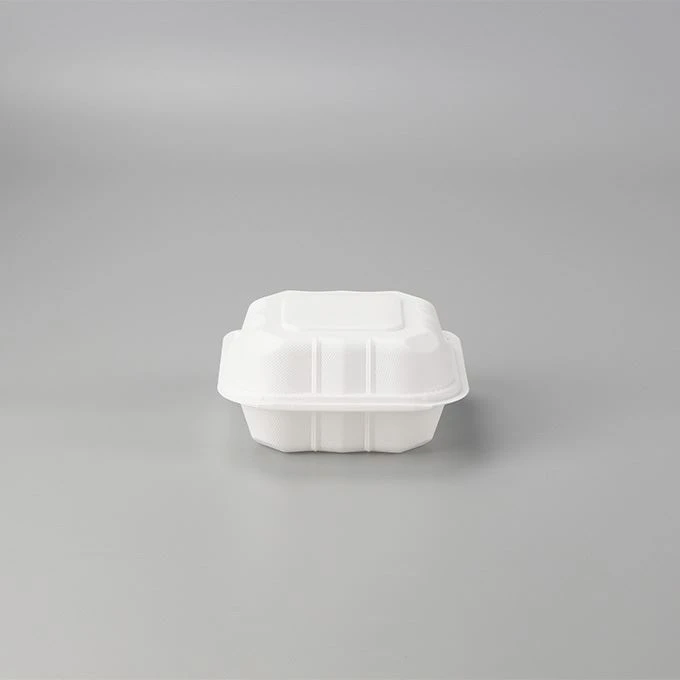 Disposable Bento Lunch Box