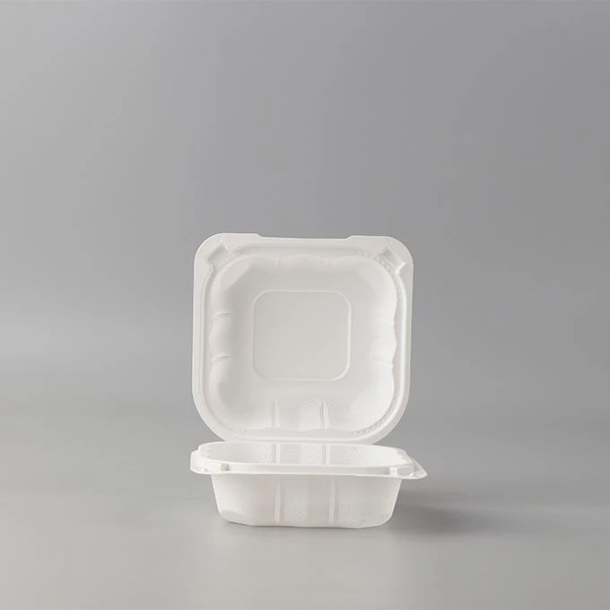 Disposable Bento Lunch Box