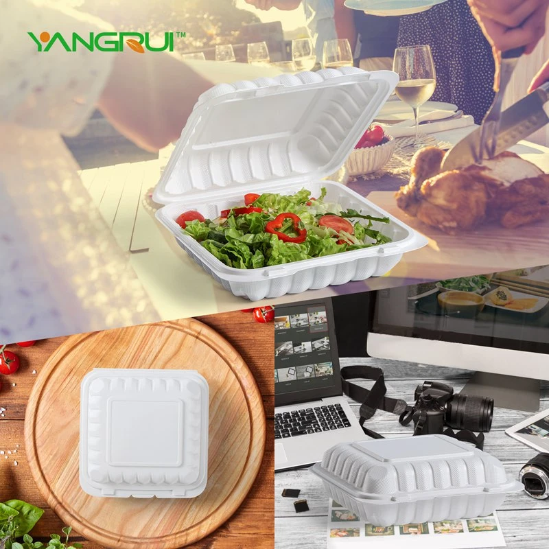 product-800-800 product-800-800