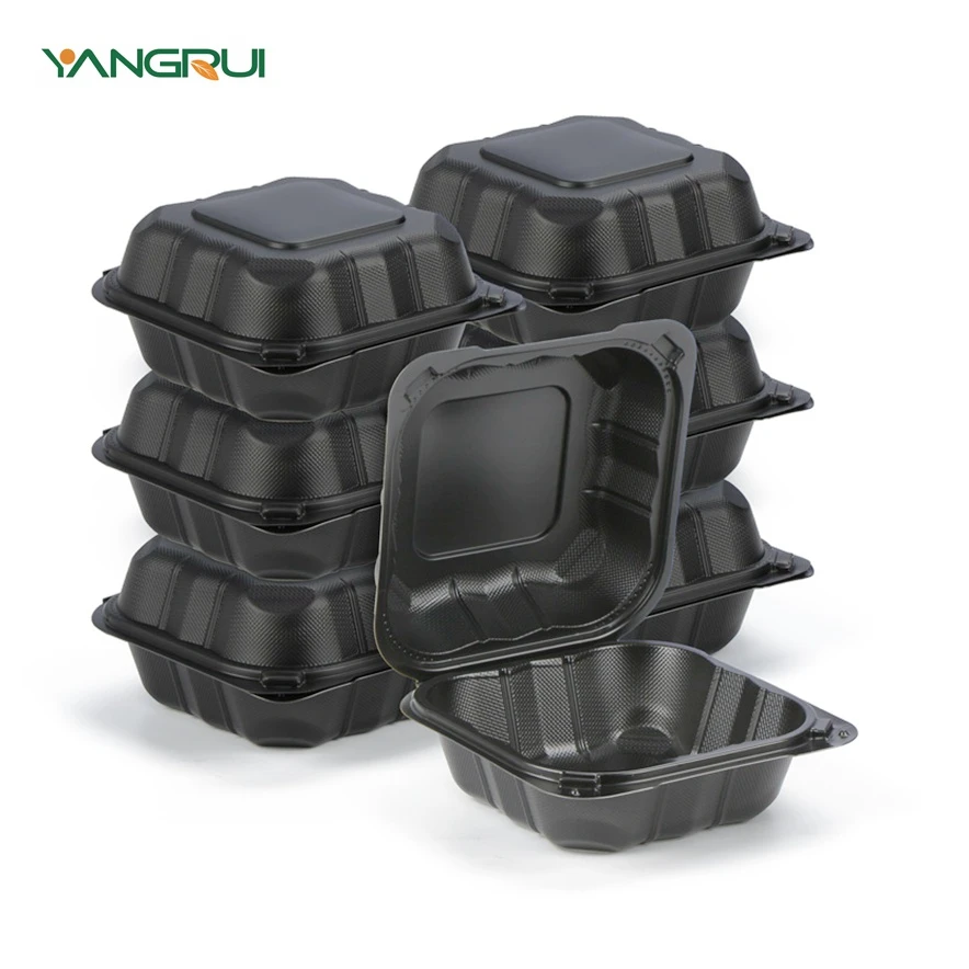 6x6x3-Eco-Clamshell-Food-Storage-Biodegradable
