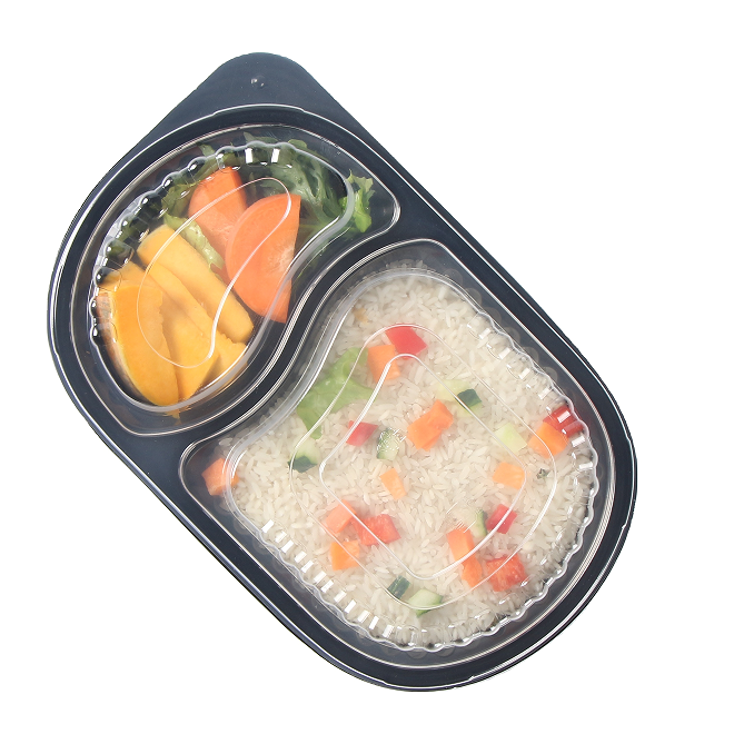 disposable lunch boxes