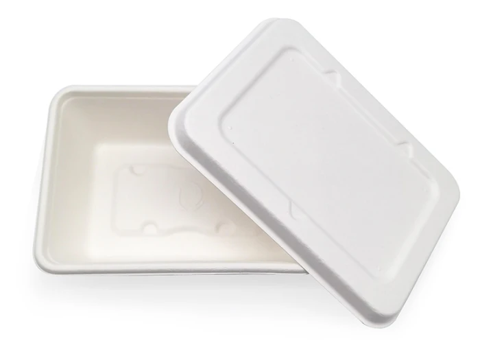 paper lunch boxes