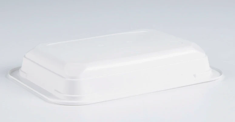disposable lunch box