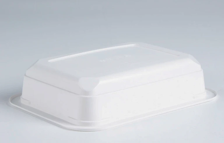 disposable lunch box