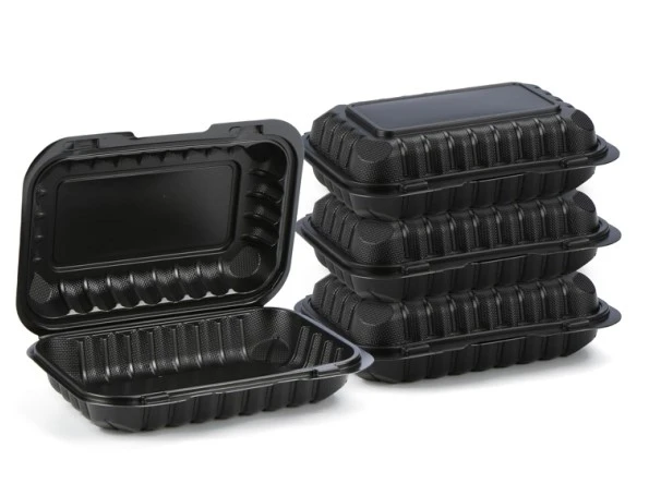 9x6 Inch food storage box