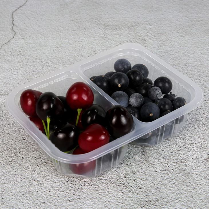 2020 BPA Free Compartment Frozen Disposable Airline Food Trays
