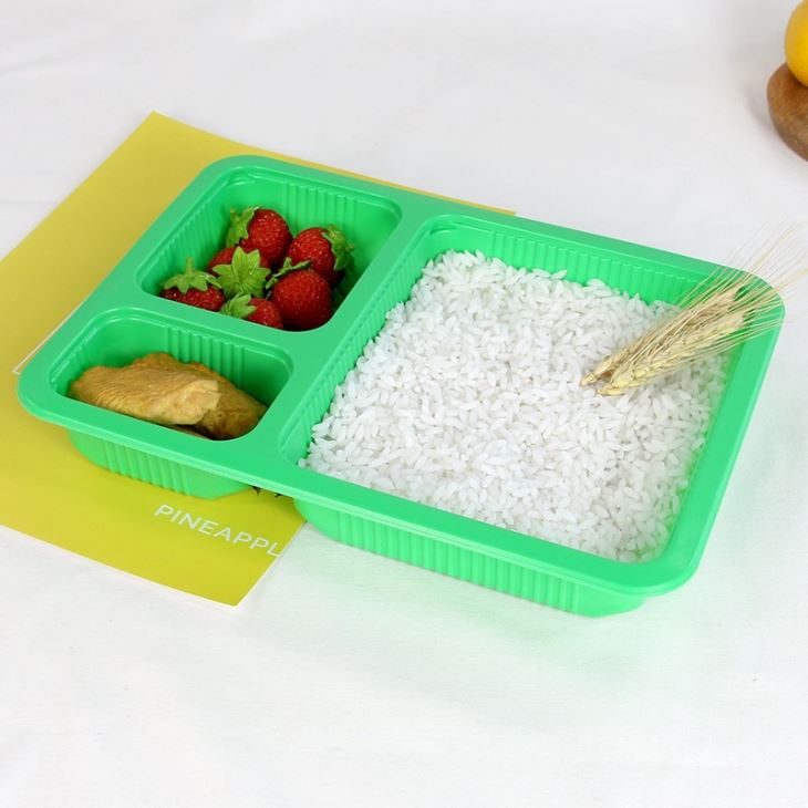 Compartment Lunch Box Food Tray