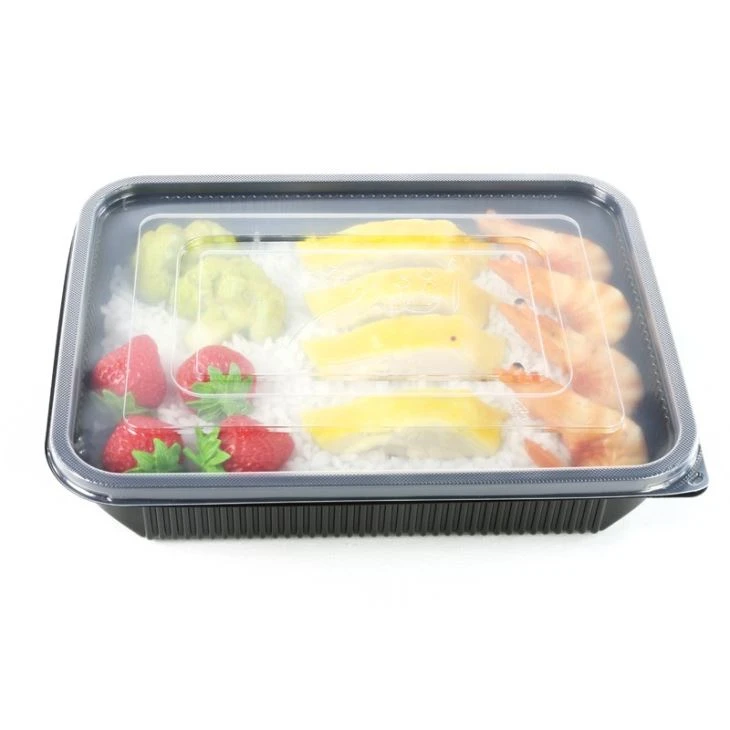 PP Plastic Box Plastic Material 1000ml Disposable Plastic Food Container