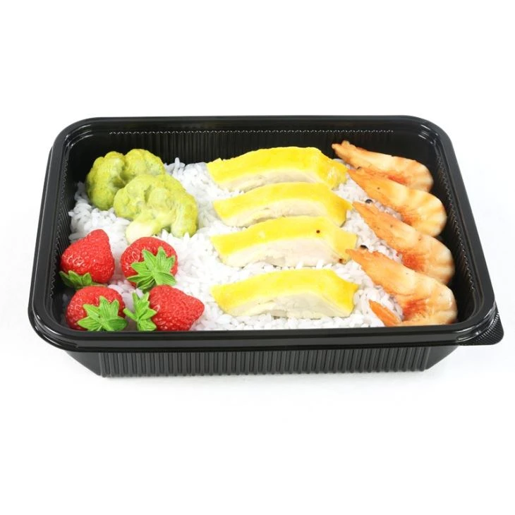 PP Plastic Box Plastic Material 1000ml Disposable Plastic Food Container