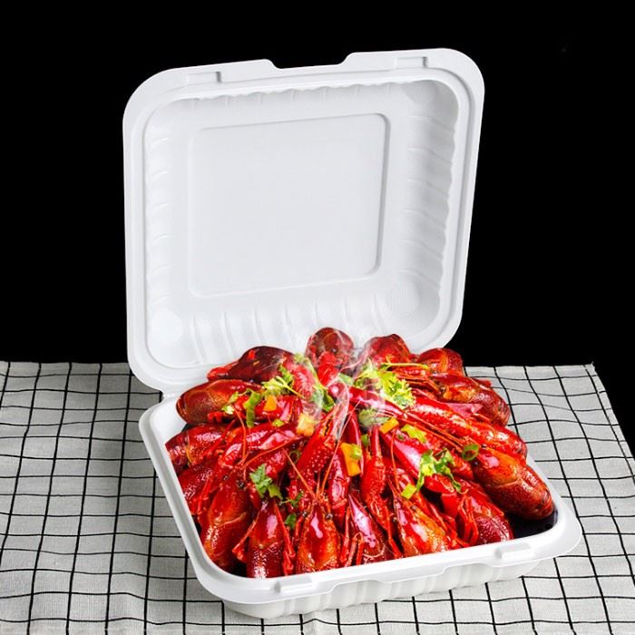 YR9581 America Hot Sale Disposable Take Out Clamshell Food Container Microwavable Hinged Lunch Box