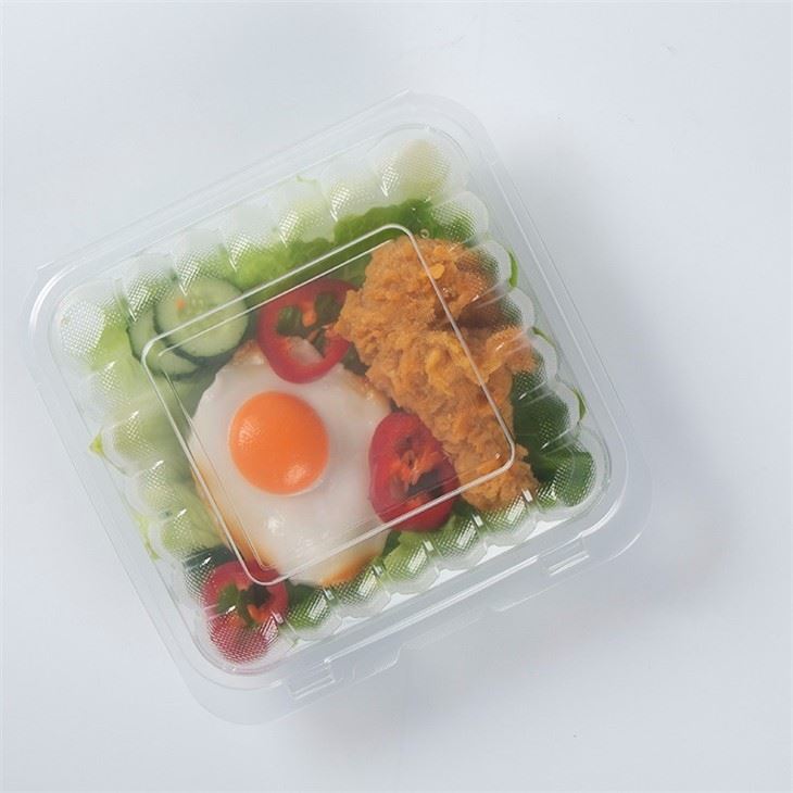 8x8 Clear Hinged Container