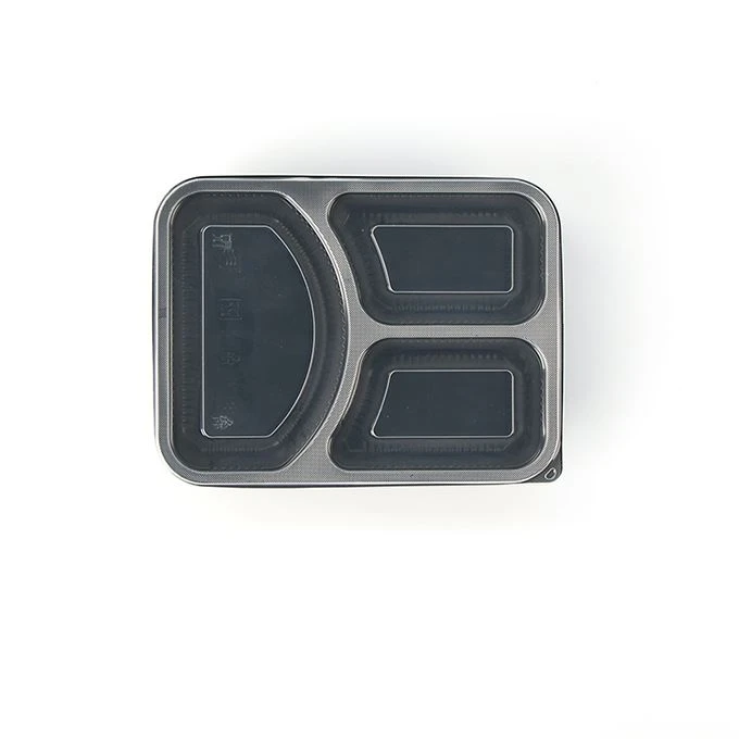 Adult Lunch Box