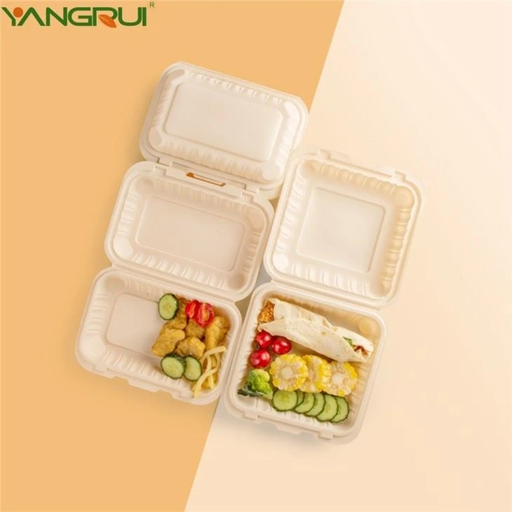 Disposable Plastic Container