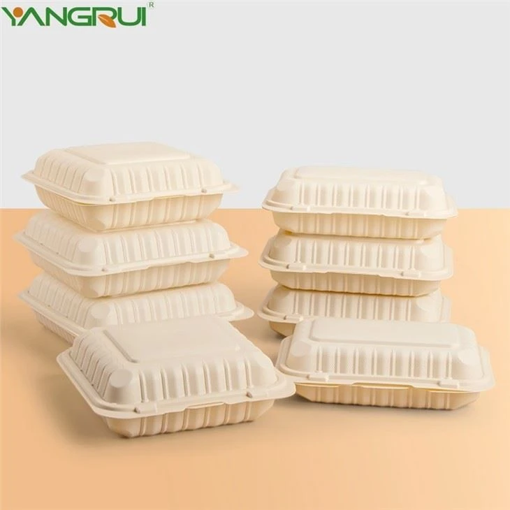 Disposable Plastic Container