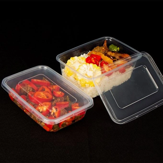 Disposable Plastic Food Container