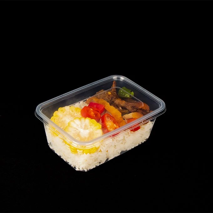 Disposable Plastic Food Container