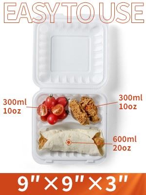 Food Container Plastic