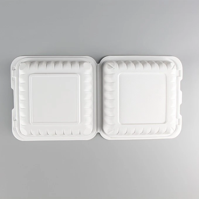 Lunch Box Kids
