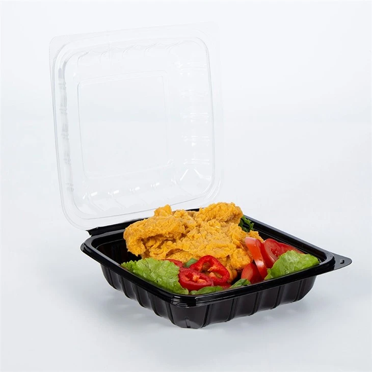Disposable Food Packaging Containers