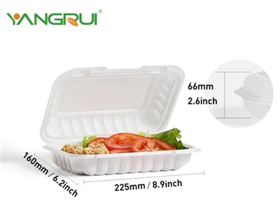 9x6 Inch White Leftover Container