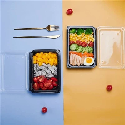 Take Away Food Container For Sushi Take Away Food Container For Sushi