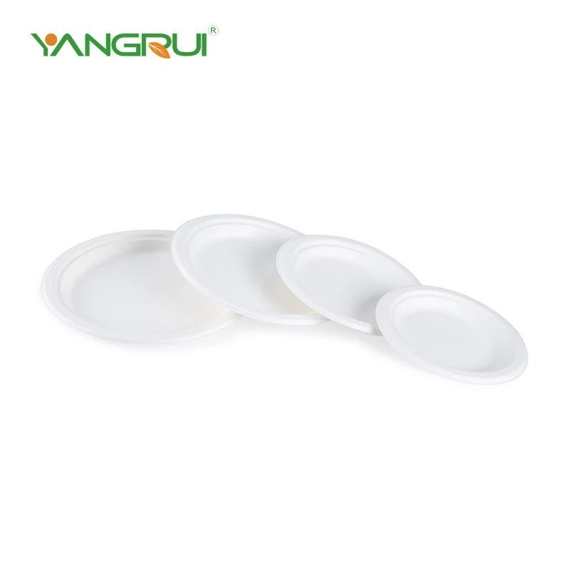 Bagasse Round Plate