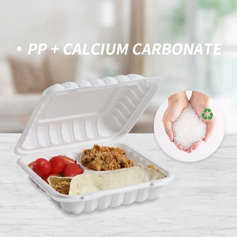 MFPP Hinged Container