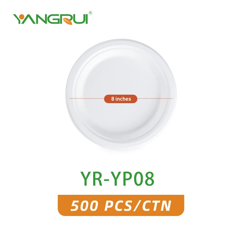 YR-YP08