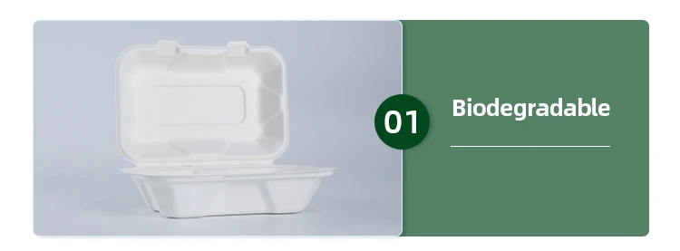 eco friendly takeaway food containers