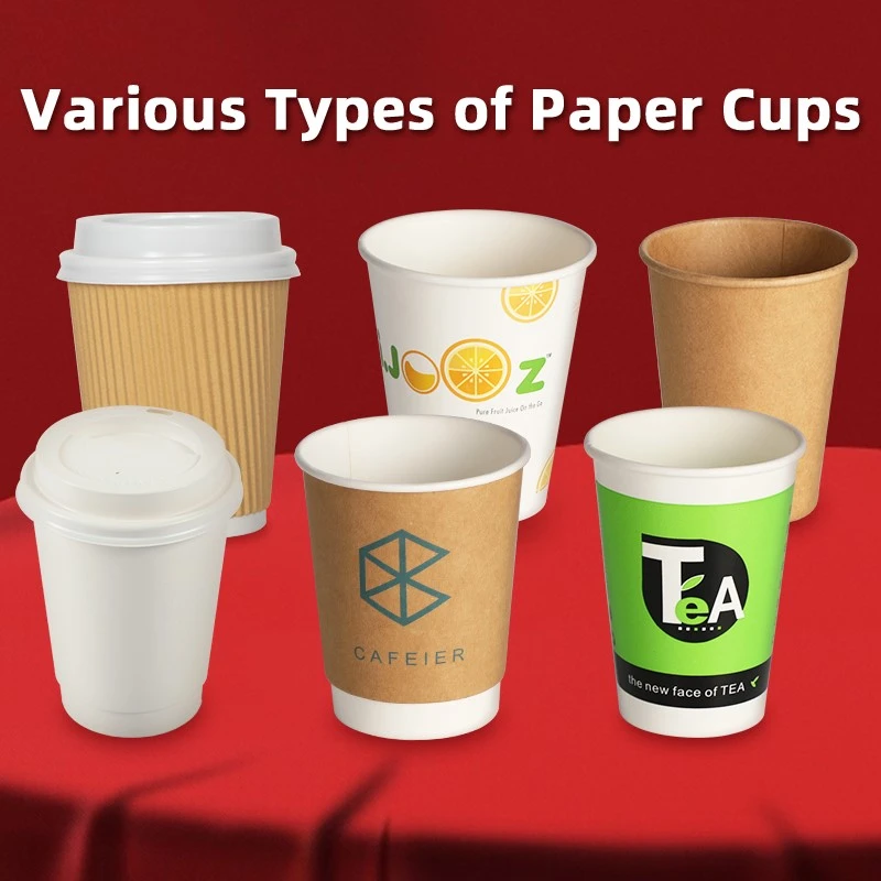 China paper cup factory