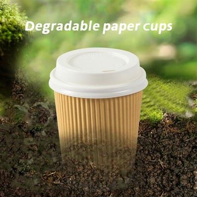 10 Oz Double Wall Paper Cup