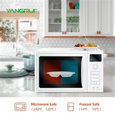 3 Compartment Plastic Plates