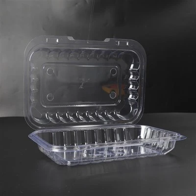 Clear Hinged Lid Container Clear Hinged Lid Container