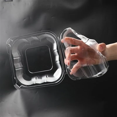 Clear Plastic Food Boxes