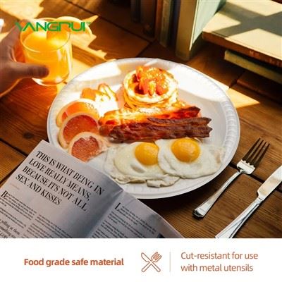 Reusable Plastic Plates