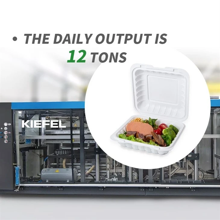 To-go Boxes Bulk factory